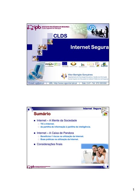 Internet segura 2010