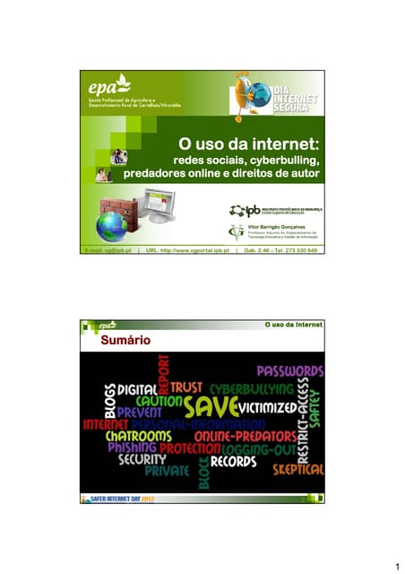 Internet segura 2012