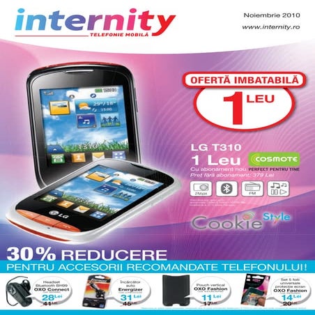 Internity noiembrie2010 | PDF