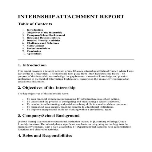 This report documents my experiences and contributions during a 12-week IT in...