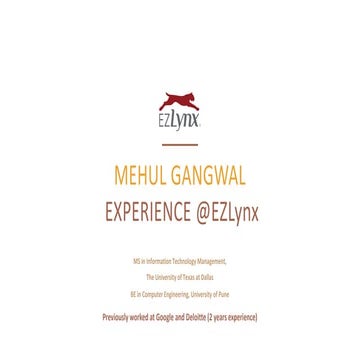 My Internship Experience 