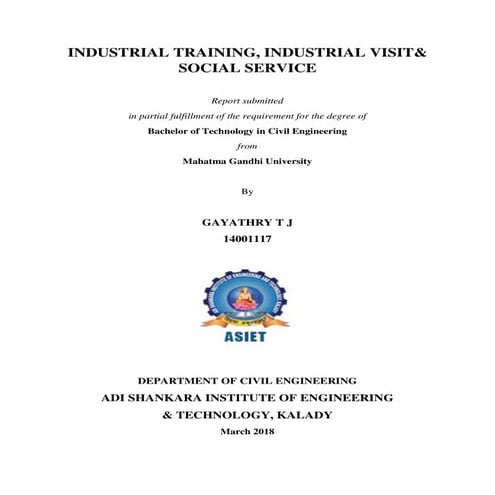 Internship front pages (3 files merged)