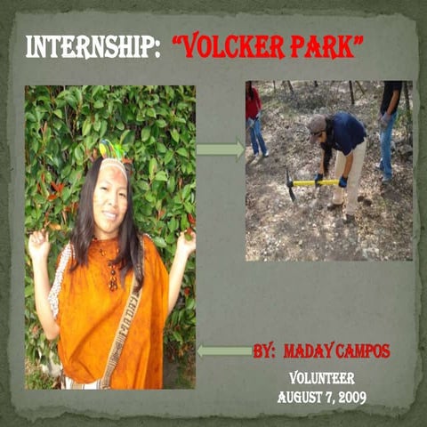 Internship Ials Pptx