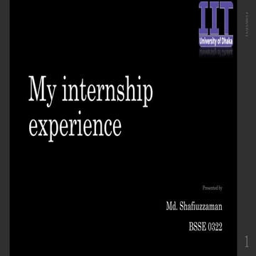 Internship at Software Industry