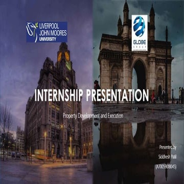 Internship on restoration project