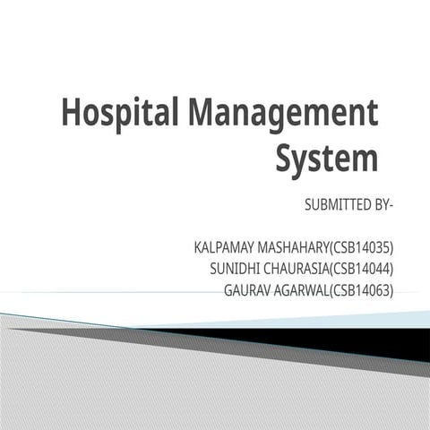 Hospital Management System presentation.pptx