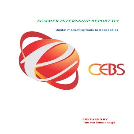 Internship project work on digital marketing tool to boost sales