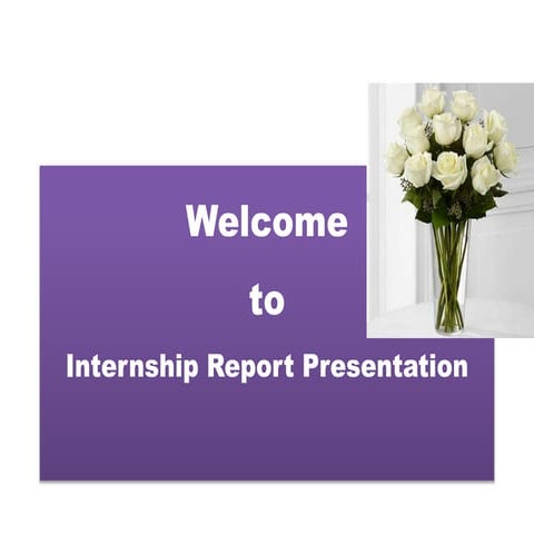 Internship report