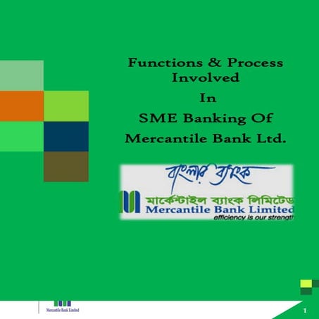 Internship report on Functions and Process of SME banking of Mercantile Bank ...