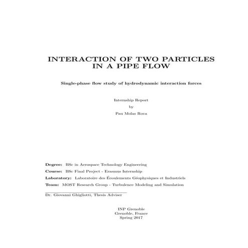 Internship Report: Interaction of two particles in a pipe flow