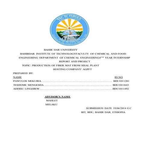 INTERNSHIP REPORT (Repaired).docx