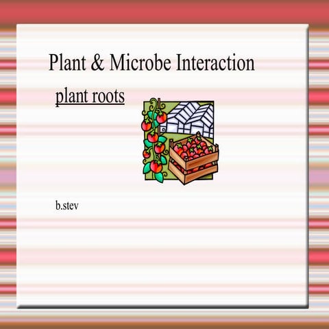 Plant & Microbe Interaction - plant roots
