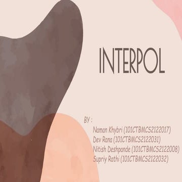 INTERPOL(FS).pdf
