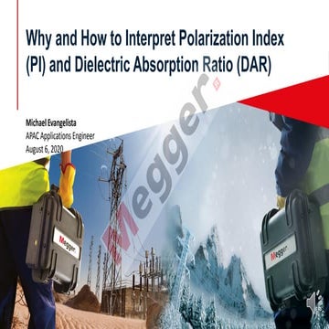 Interpretation of PI and DARr1_ls[53].pdf