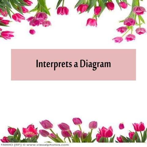 Interpreting a diagram | PPTX