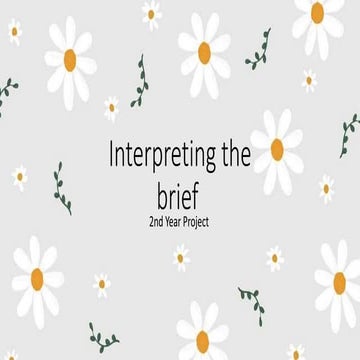 Interpreting the brief B2 Sunderland Culture