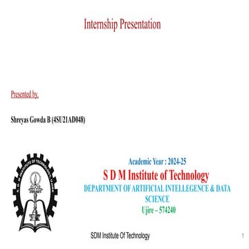 INTERSHIP PPT FOR OPTION A OPTED STUDENTS