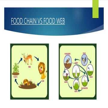 Interspecific relations