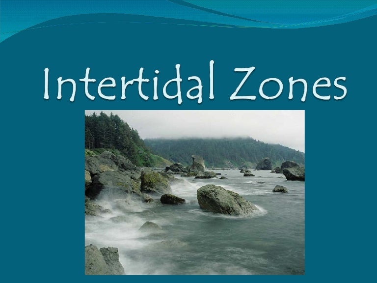 Intertidal Zones