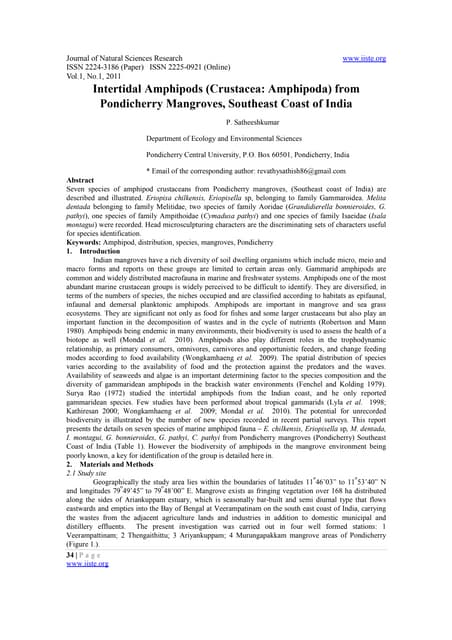 Intertidal amphipods crustacea amphipoda from pondicherry mangroves, southeas...