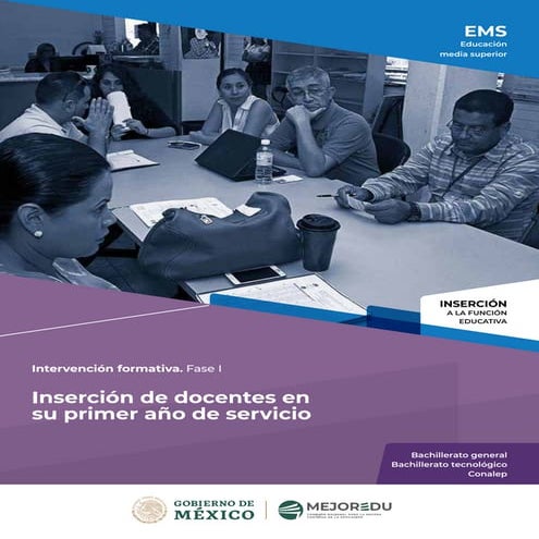 Intervencion docentesems