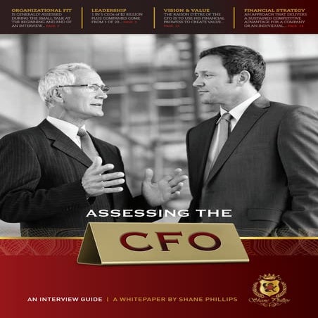 Interviewing the Chief Financial Officer, CFO Assessment