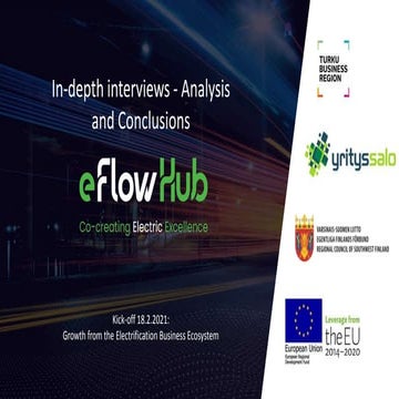 Growth from the Electrification Business Ecosystem: Interview summaries