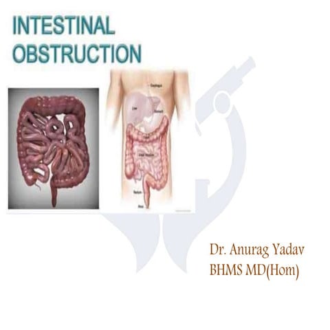 Intestinal obstruction Pathology
