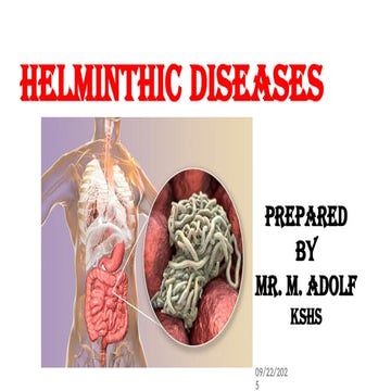 MUMAN PARASITES, INTESTINAL WORMS, EG CESTODES