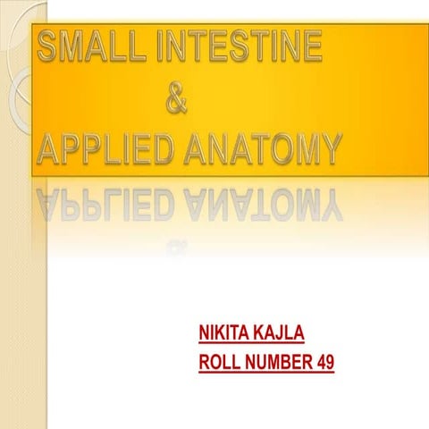 APPLIED AND BASIC INTRO OF SMALL INTESTINE