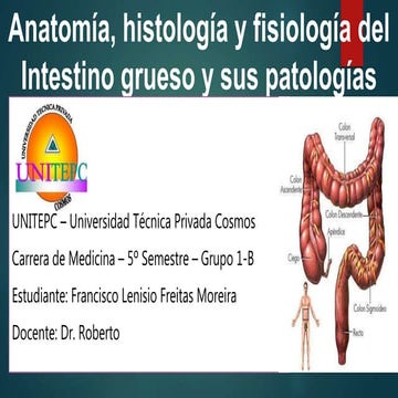 Intestino grueso | PPTX