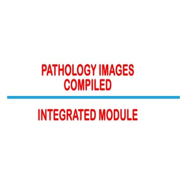 Comprehensive Integrated Module on Pathology Images Across Human ...