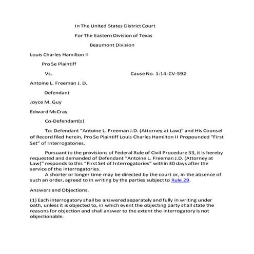 Writ of execution | DOCX