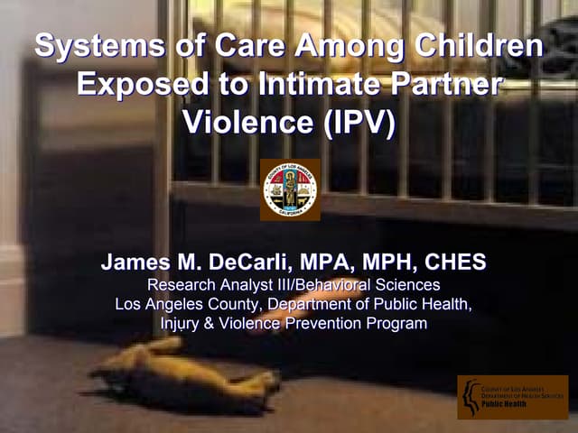Intimate Partner Violence (Ipv) Sys...