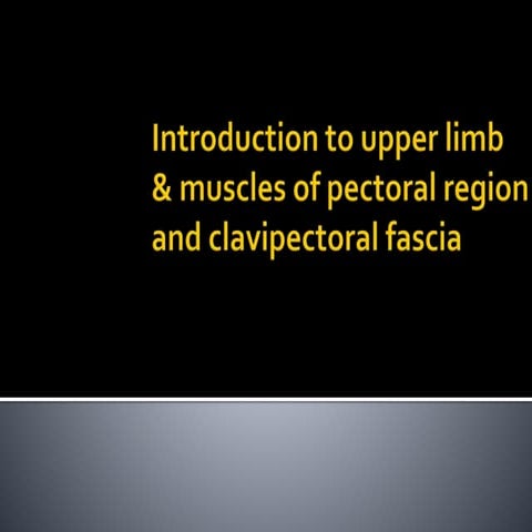 Intoduction of UL & Pectoral region and clavipectoral fascia.pptx