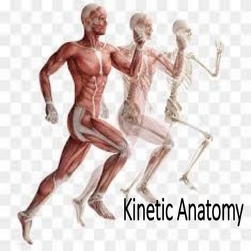 Intoduction to Kinetic Anatomy.pdf