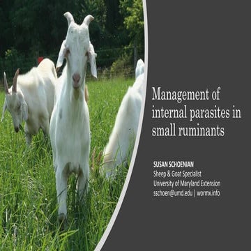 Management of Internal Parasites in Small Ruminants | PPTX
