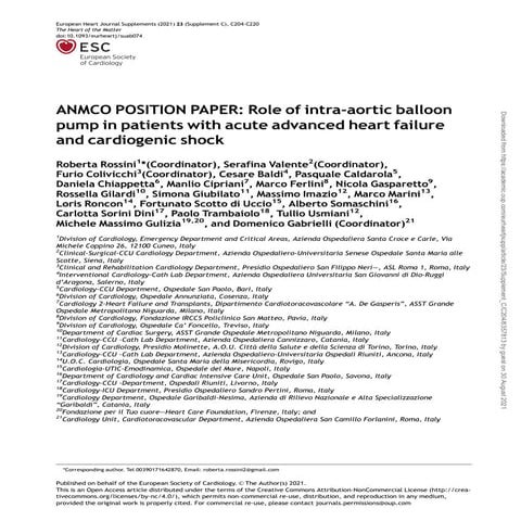 Intra aortic balloon pump