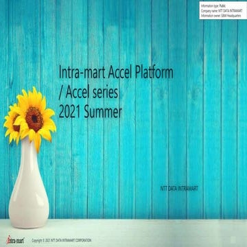 Accel series 2021_summer en