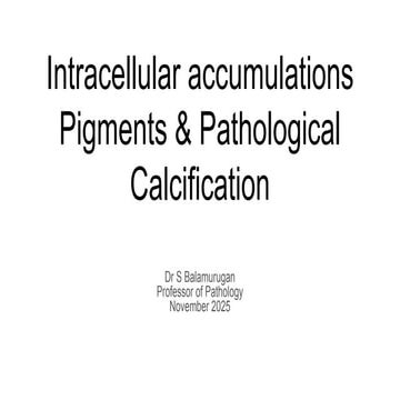 General Pathology topic: Intracellular accumulations Pigments ...
