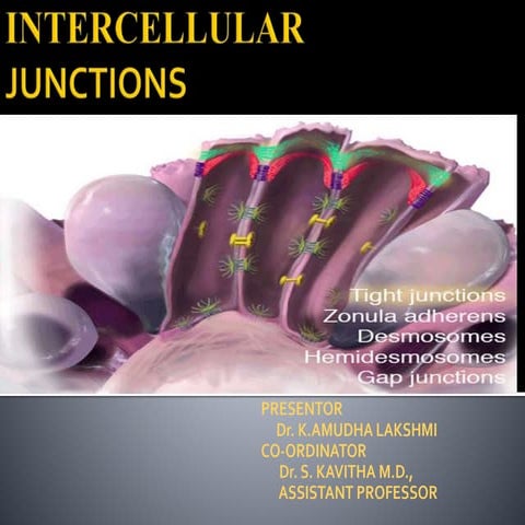 Intracellular junction ppt