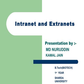 Intranet and extranet