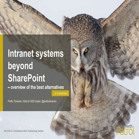 Intranet systems beyond SharePoint