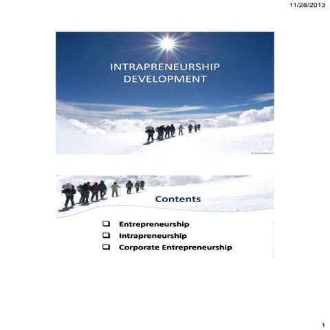 Intrapreneurship and Corporate Entrepreneurship Development