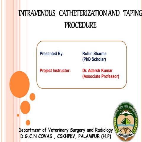Intravenous catheter