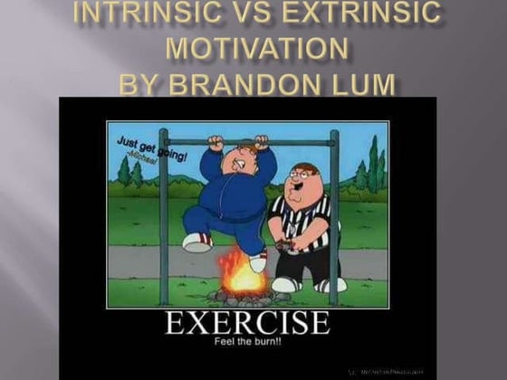 Extrinsic Motivation Memes Intrinsic Motivation: A Key To Success