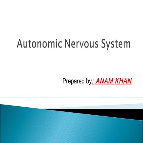 Autonomic Nervous System