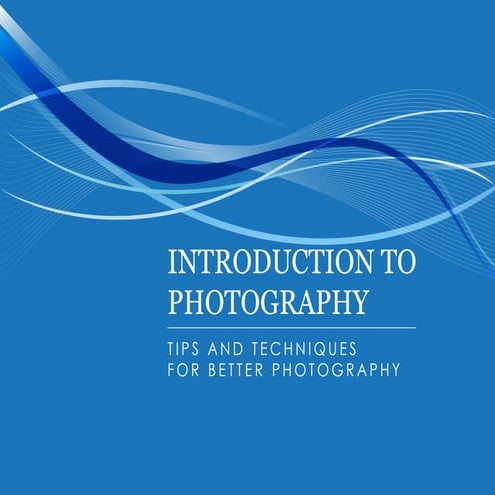 Captured Moments: A Photographic Journey