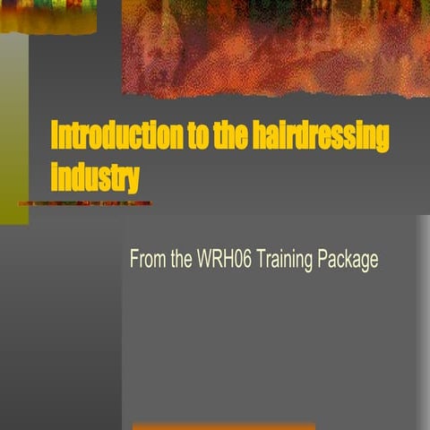 Intro To The Hairdressing Industry