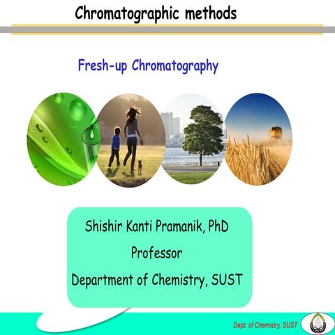 chromatographytheusefulElectrophoresis.pdf